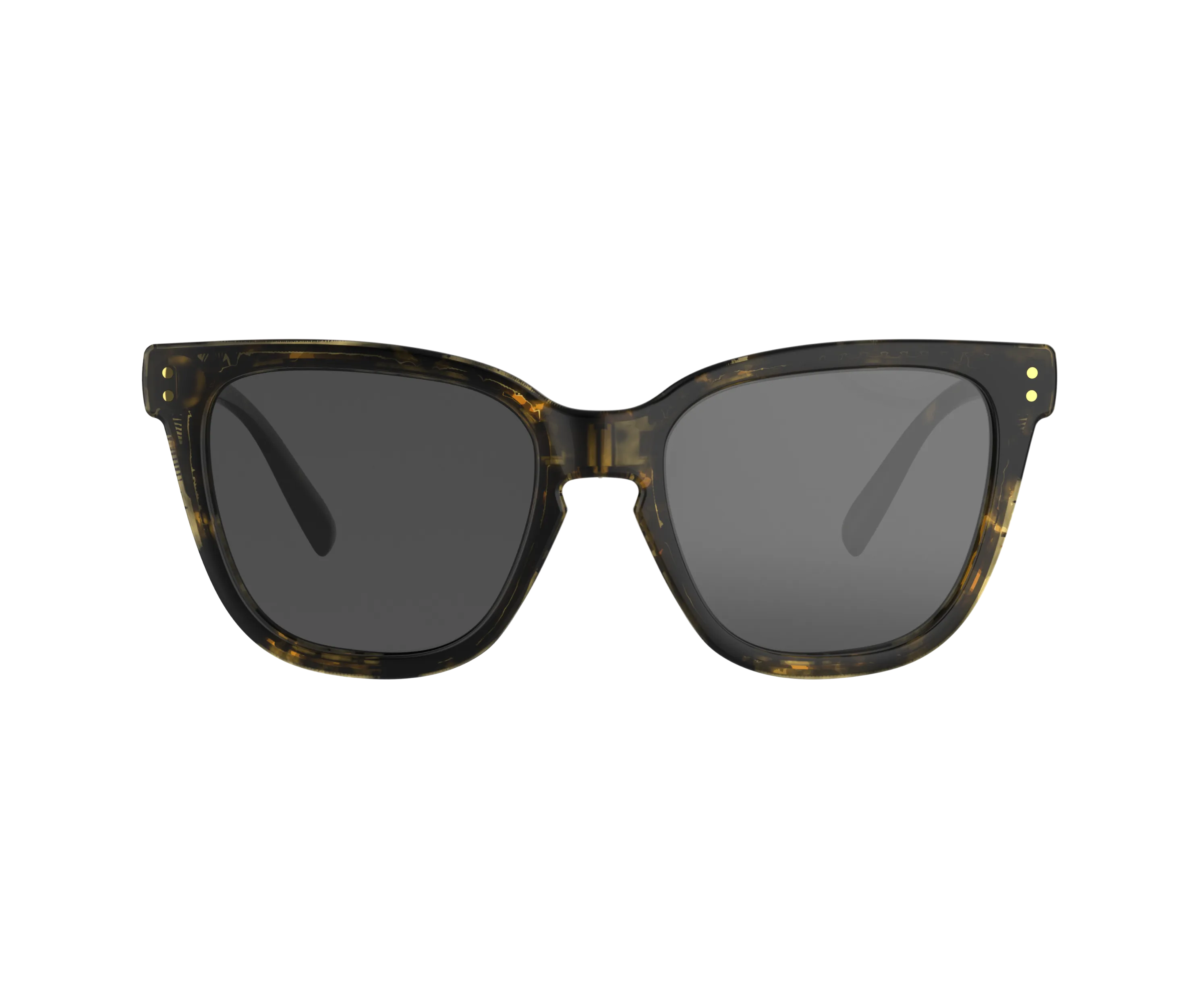 Zurix Tortoise - Image 5
